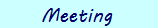 Meeting